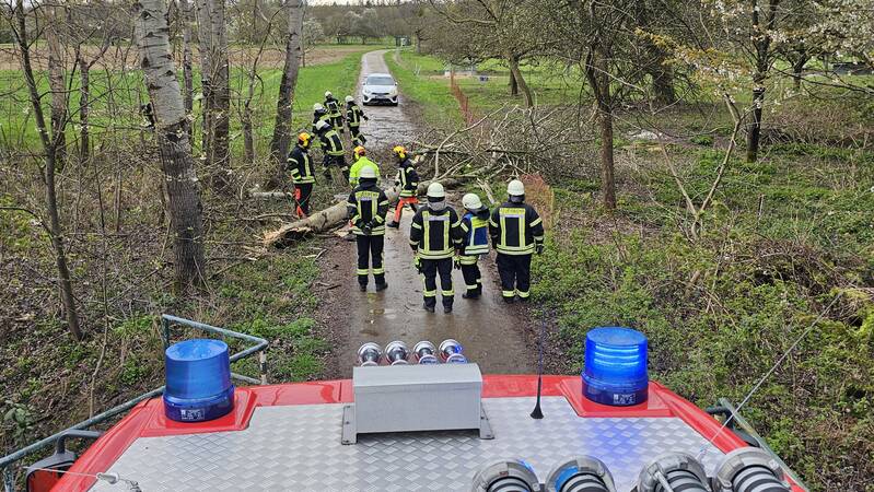 Einsatzfoto Baum über Fahrbahn aus der Perspektive Fahrzeugdach