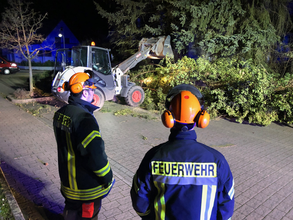 Radlader beim beseitigen eines Baumes. Zwei Feuerwehrmänner sehen dabei zu