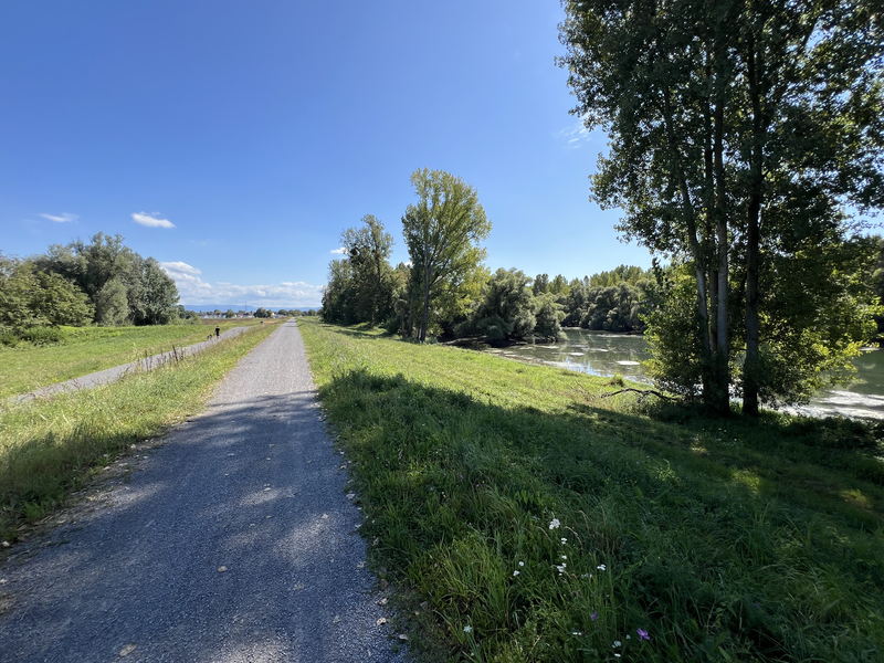 Weg auf dem Rheindamm beim Auer Köpfle